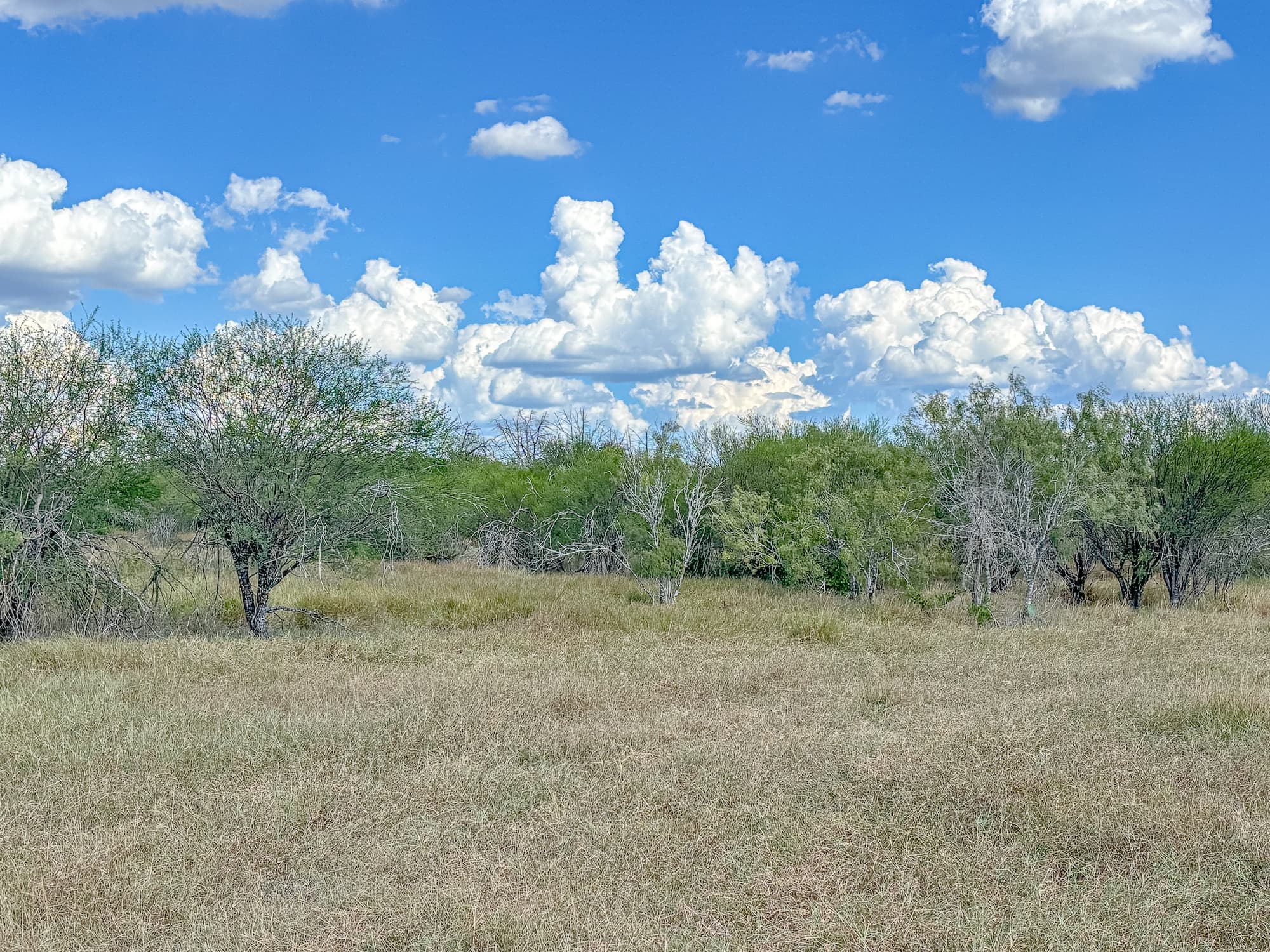 2181 C R 374, Shiner TX 77984 — public listing photo 22