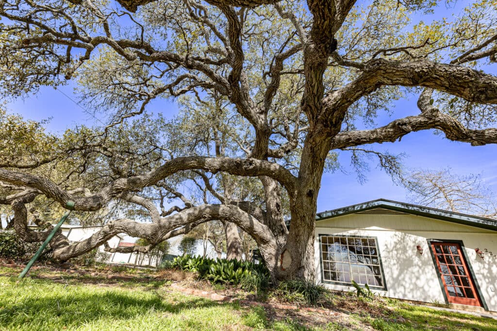 2272 US Hwy 90a, Hallettsville, TX 77964 — public listing photo 40