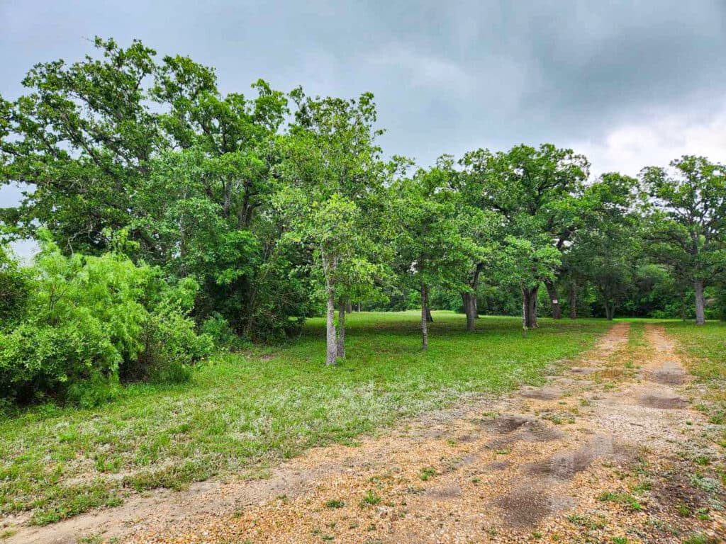 2915 CR 354, Gonzales, TX — public listing photo 29