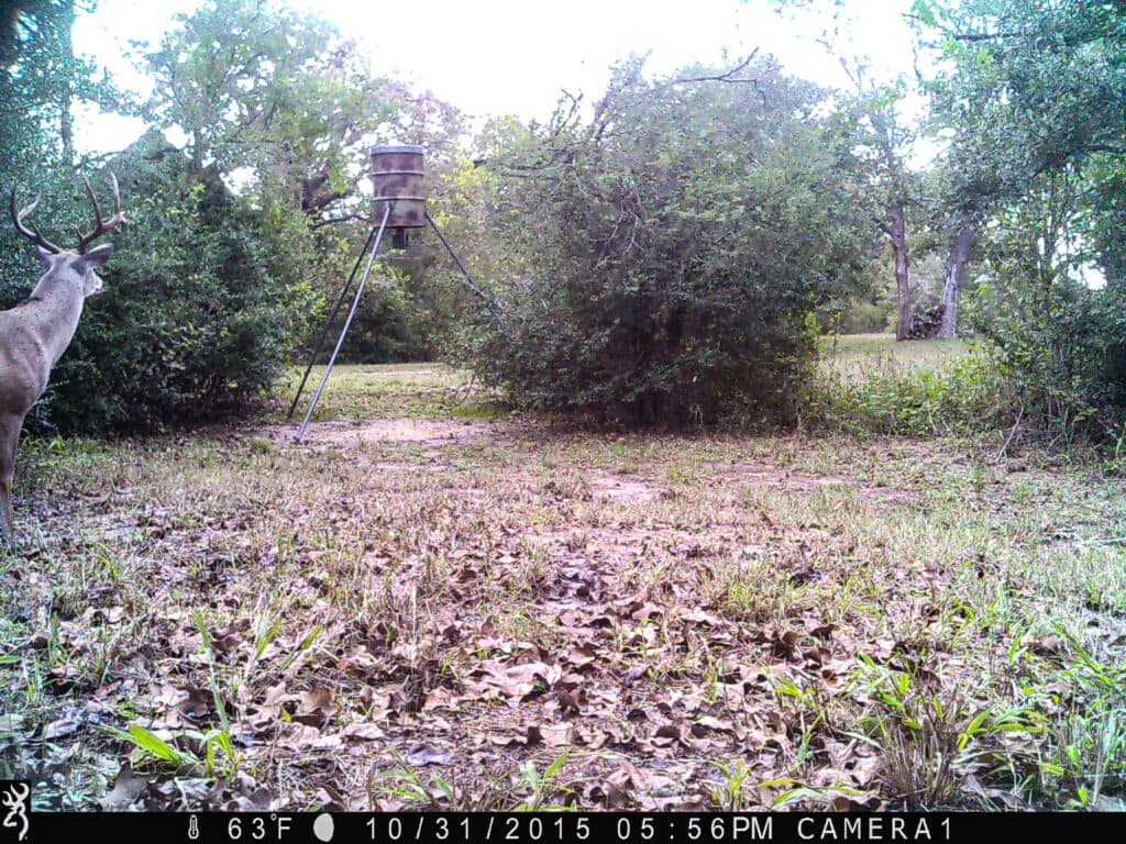 2915 CR 354, Gonzales, TX — public listing photo 32
