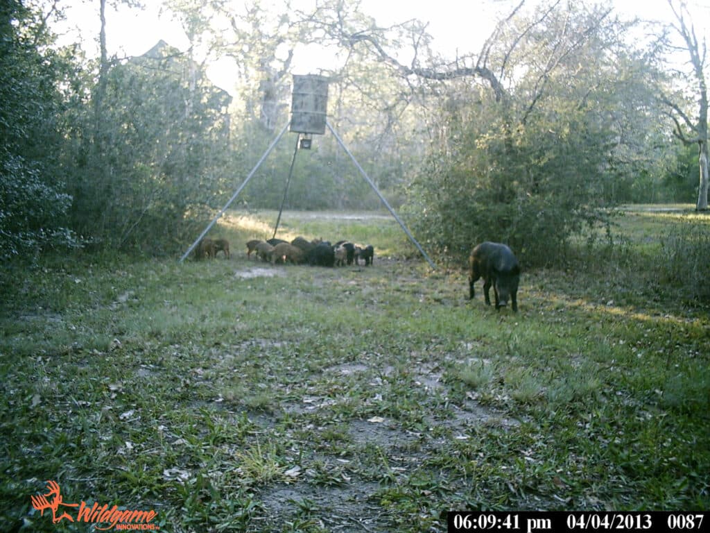 2915 CR 354, Gonzales, TX — public listing photo 33