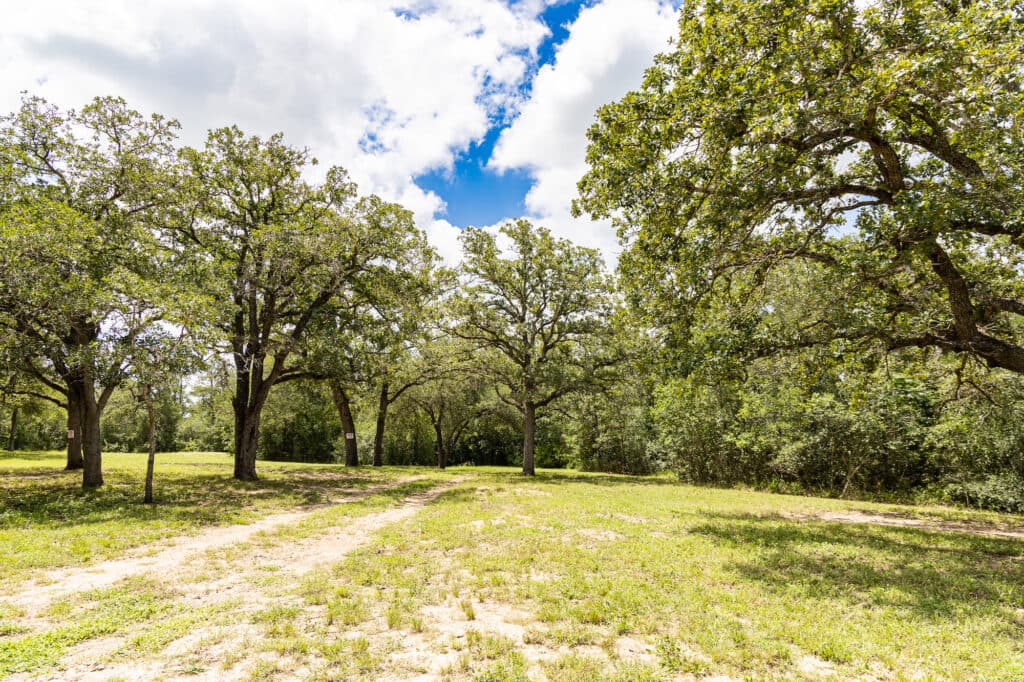 2915 CR 354, Gonzales, TX — public listing photo 40