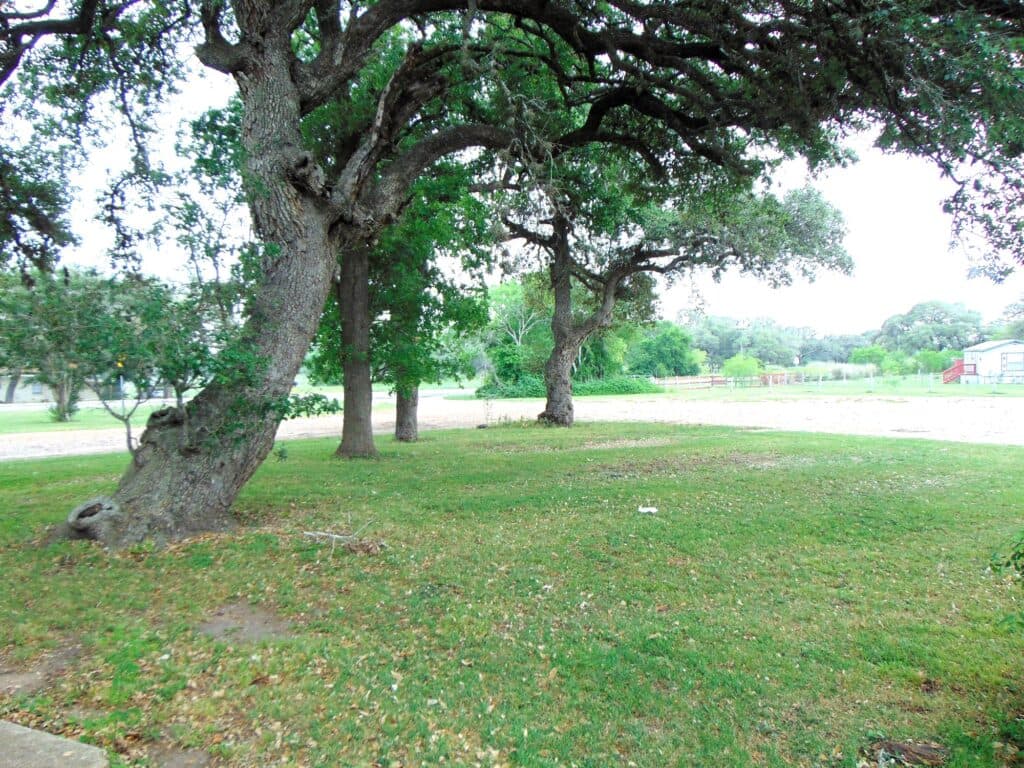 530 N US HWY 77A, Cuero — public listing photo 18