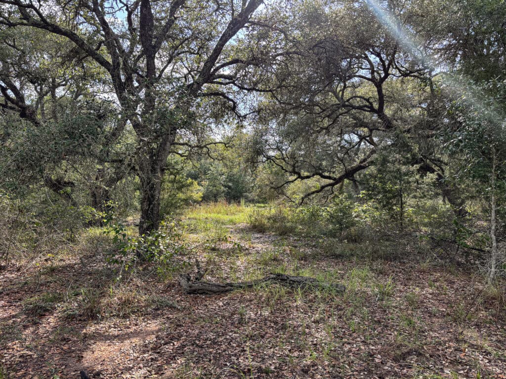7121 CR 125, Hallettsville, TX — public listing photo 34