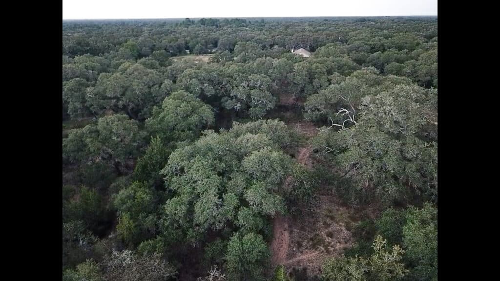 7121 CR 125, Hallettsville, TX — public listing photo 39