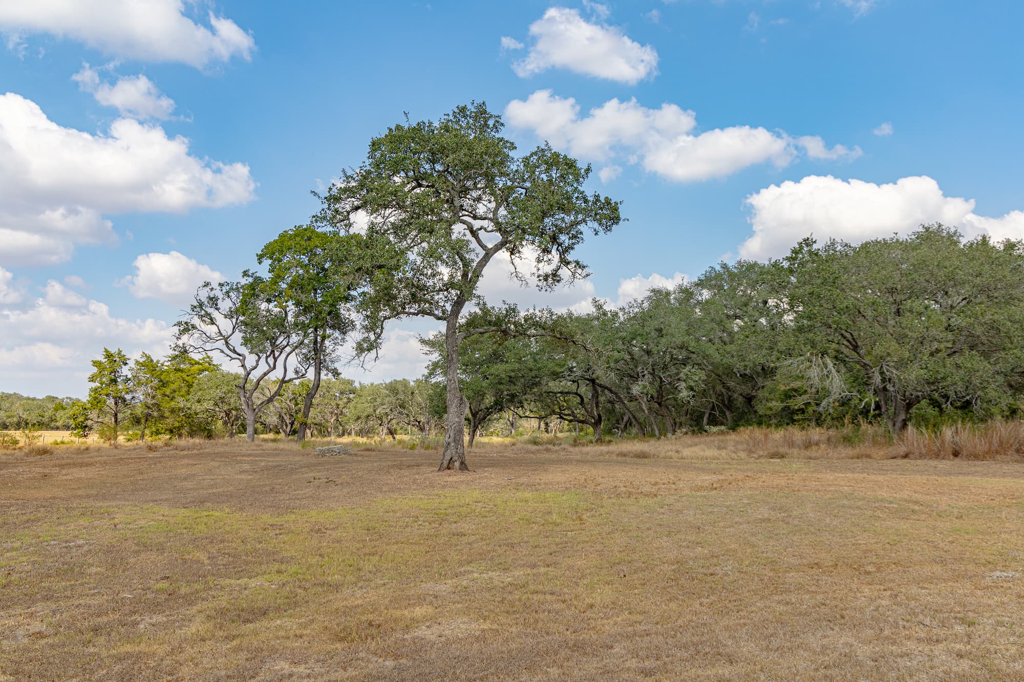 716 L Hrabovsky Rd., Yoakum — public listing photo 27