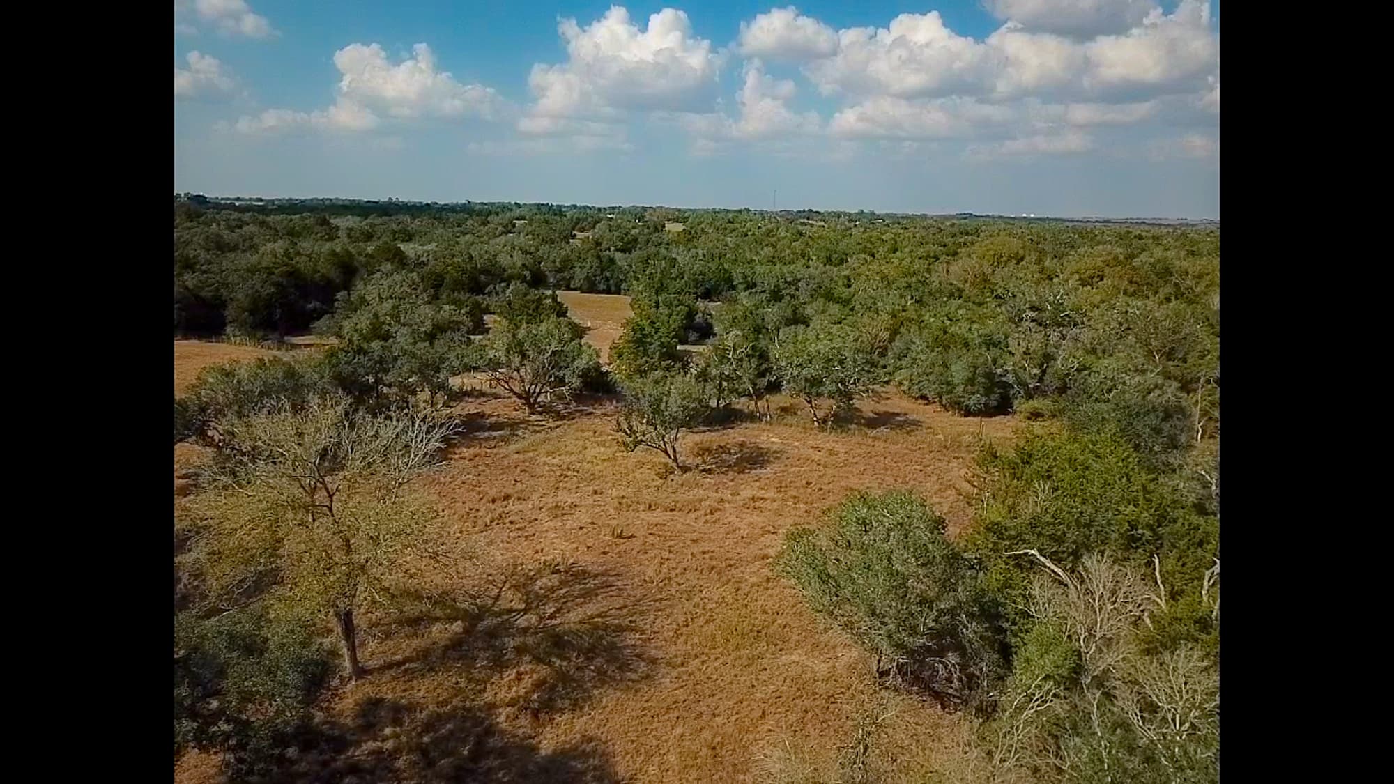 716 L Hrabovsky Rd., Yoakum — public listing photo 32