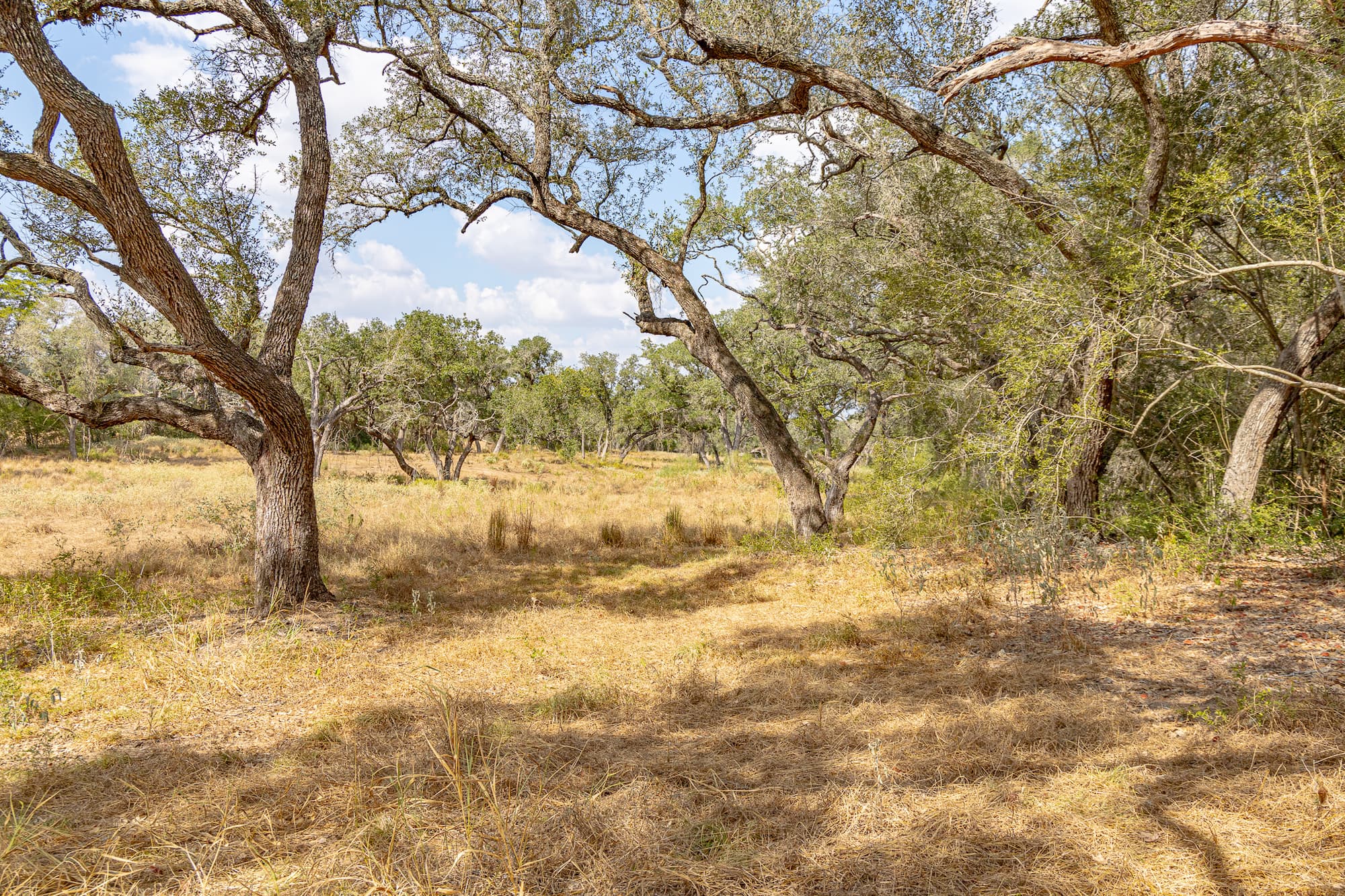 716 L Hrabovsky Rd., Yoakum — public listing photo 33