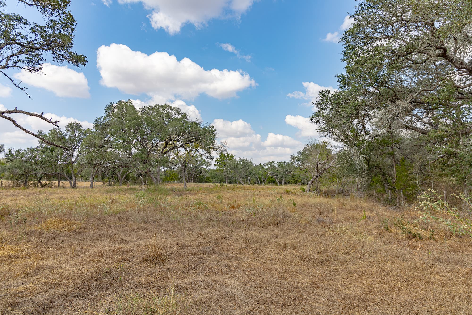 716 L Hrabovsky Rd., Yoakum — public listing photo 36