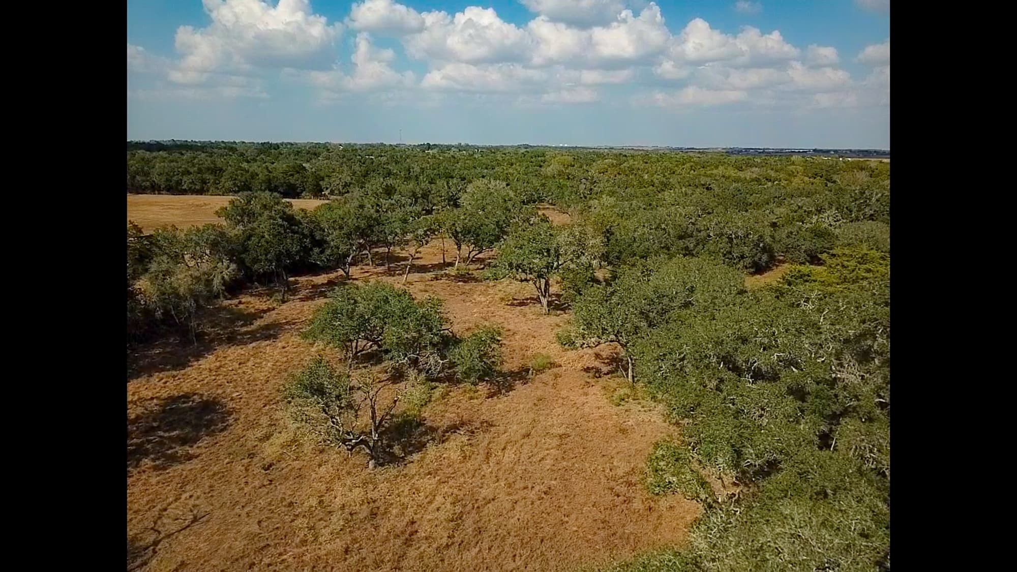 716 L Hrabovsky Rd., Yoakum — public listing photo 39