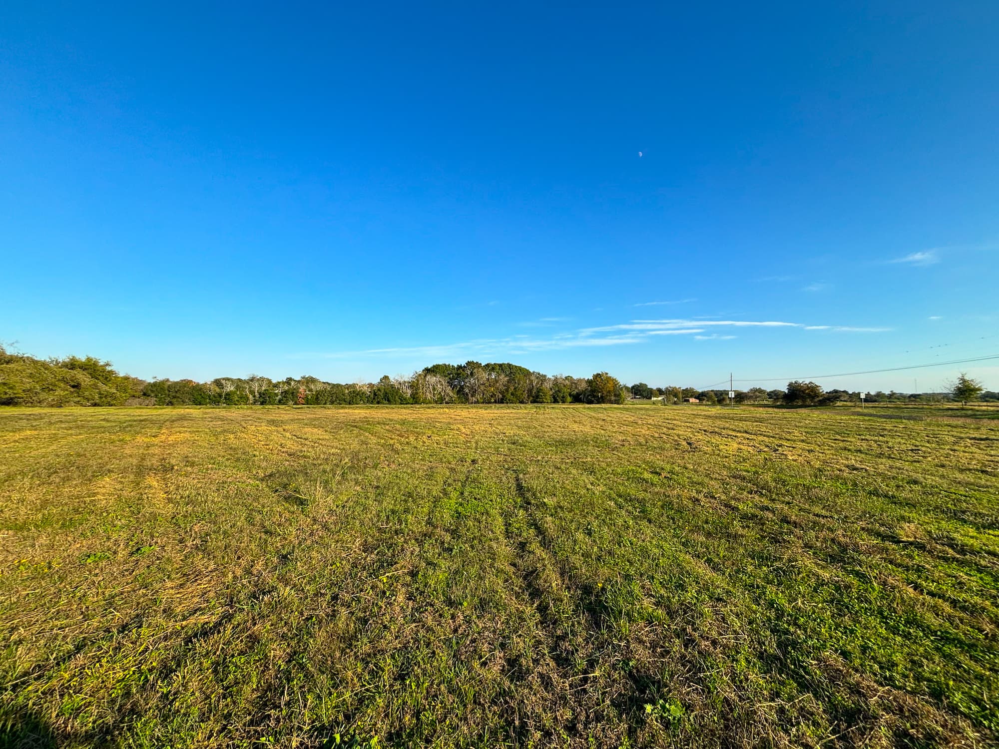 000 Hwy 90a, Shiner, Texas 77984 — public listing photo 8