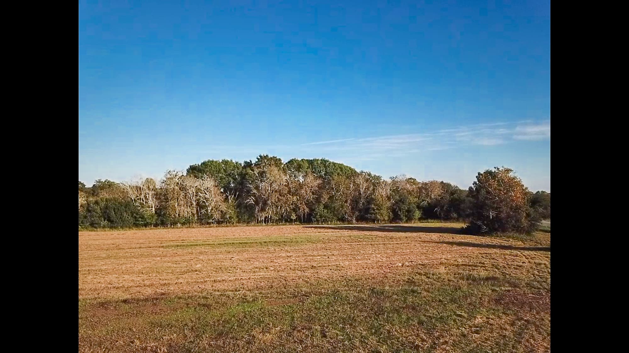 000 Hwy 90a, Shiner, Texas 77984 — public listing photo 9