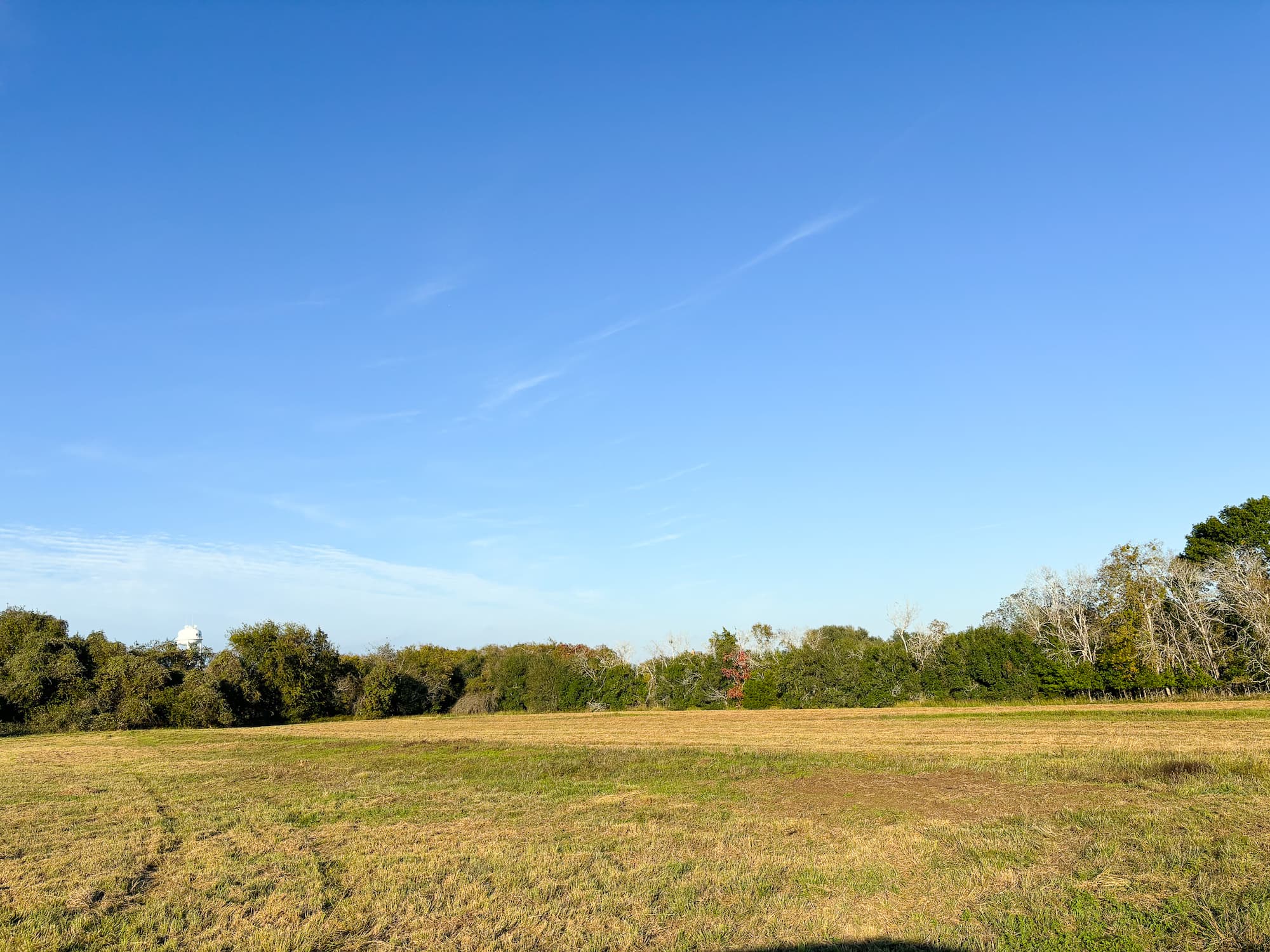000 Hwy 90a, Shiner, Texas 77984 — public listing photo 11