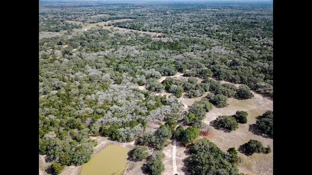 819 CR 152, Hallettsville, TX — public listing photo 7