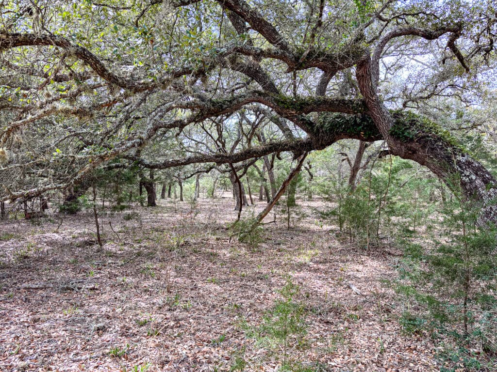 819 CR 152, Hallettsville, TX — public listing photo 8