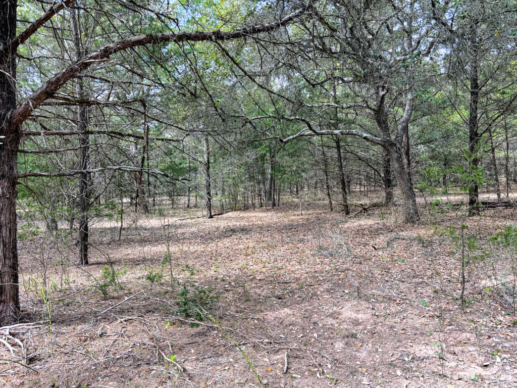 819 CR 152, Hallettsville, TX — public listing photo 9