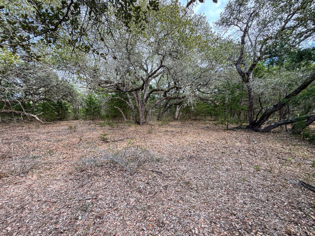 819 CR 152, Hallettsville, TX — public listing photo 10