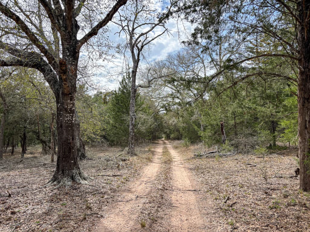 819 CR 152, Hallettsville, TX — public listing photo 17
