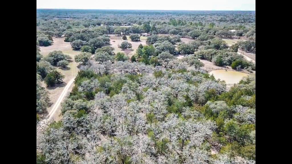 819 CR 152, Hallettsville, TX — public listing photo 19