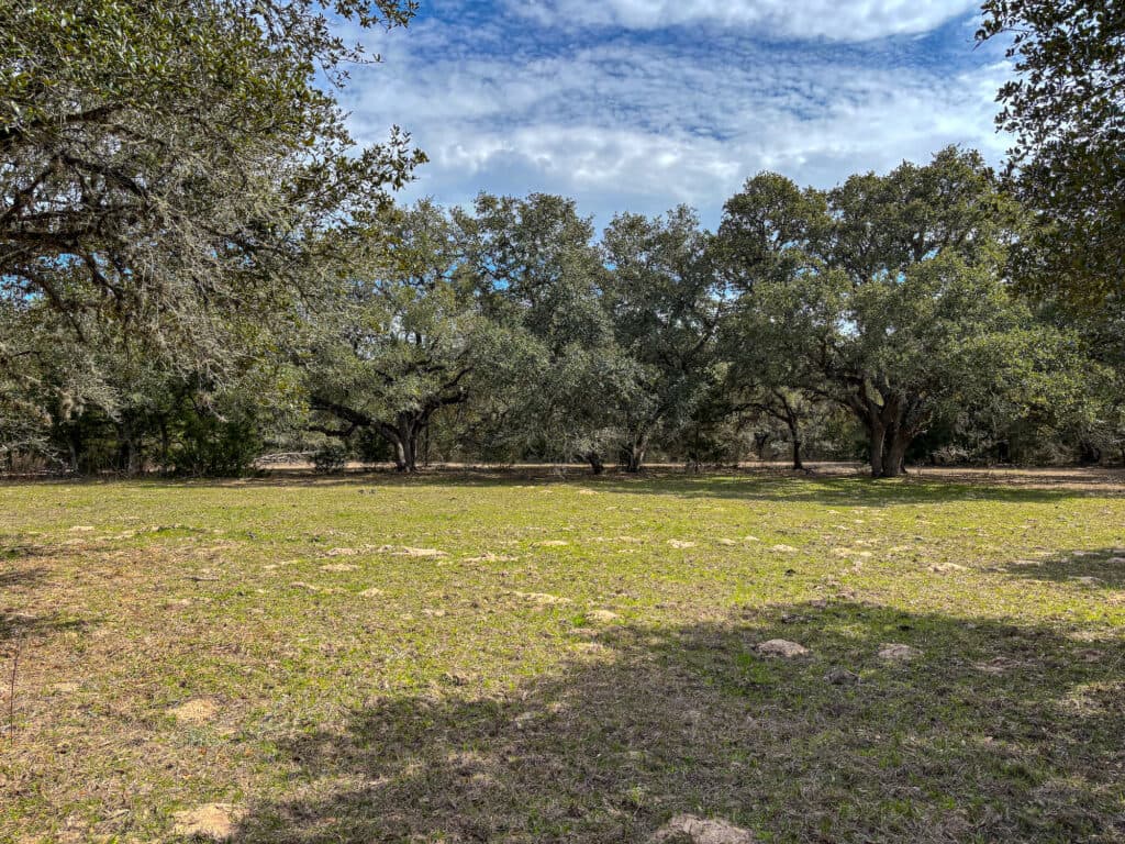 819 CR 152, Hallettsville, TX — public listing photo 25