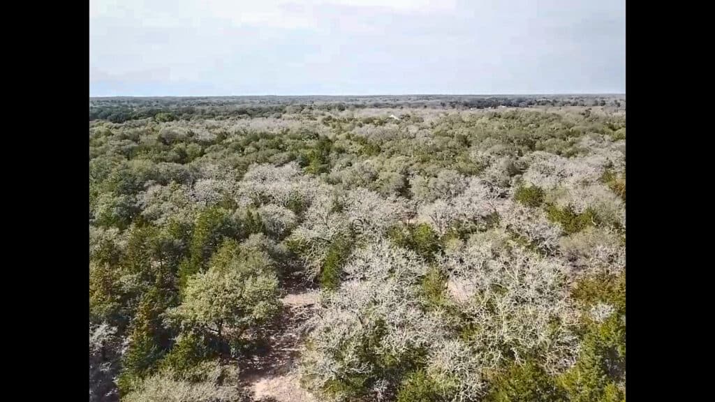 819 CR 152, Hallettsville, TX — public listing photo 28