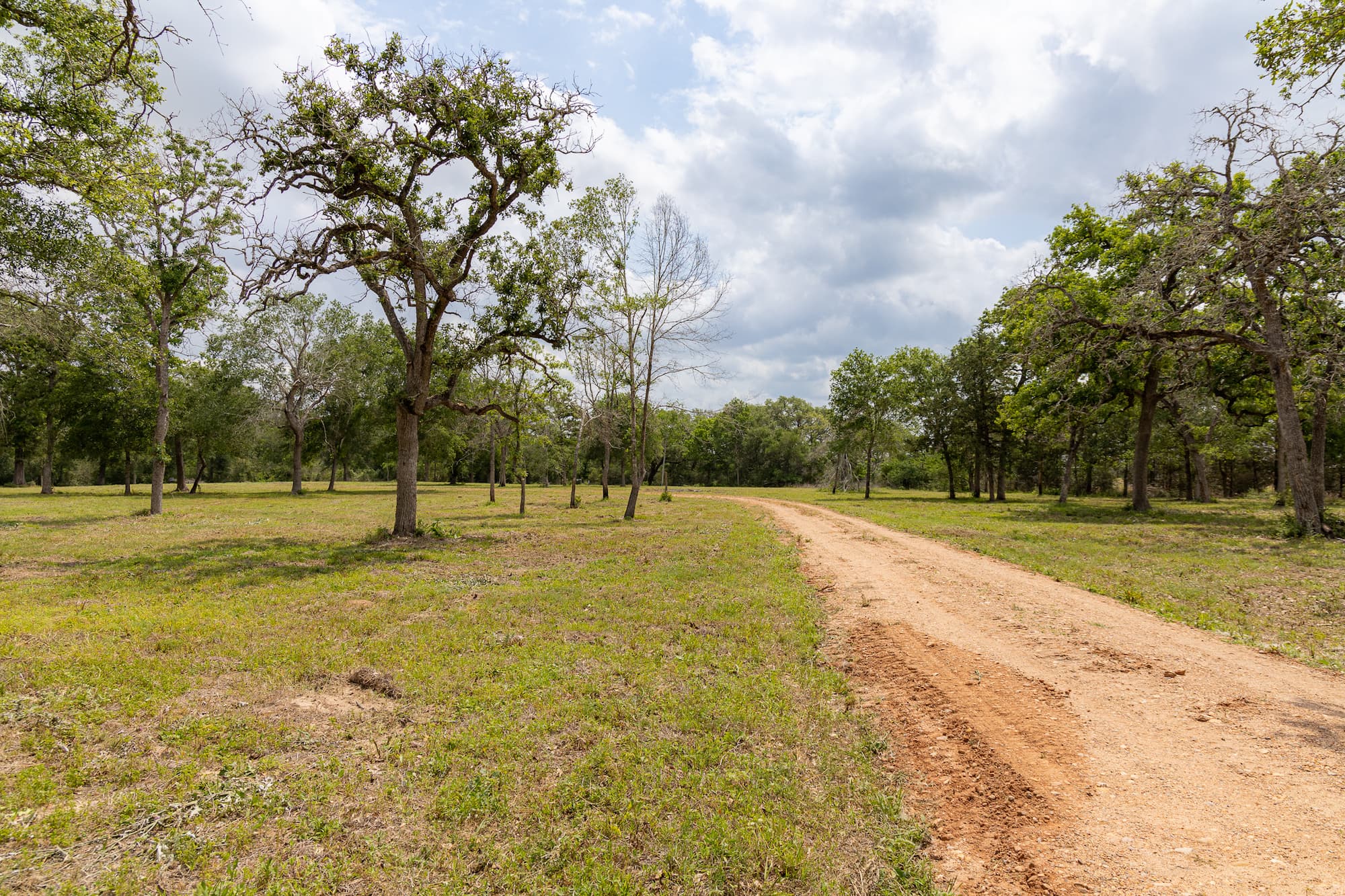 8689 CR 132, Hallettsville, TX 77964 — public listing photo 7