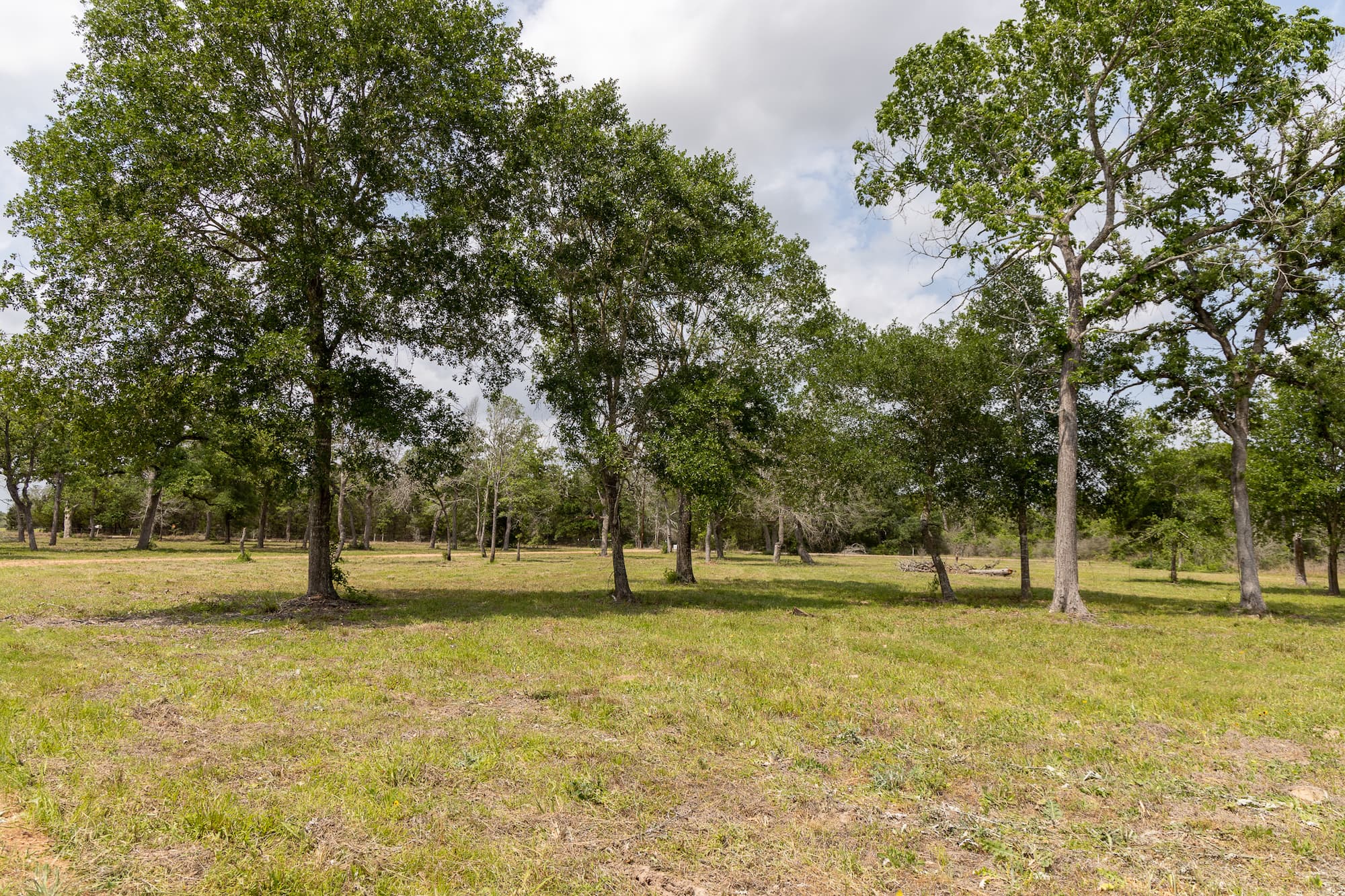 8689 CR 132, Hallettsville, TX 77964 — public listing photo 8