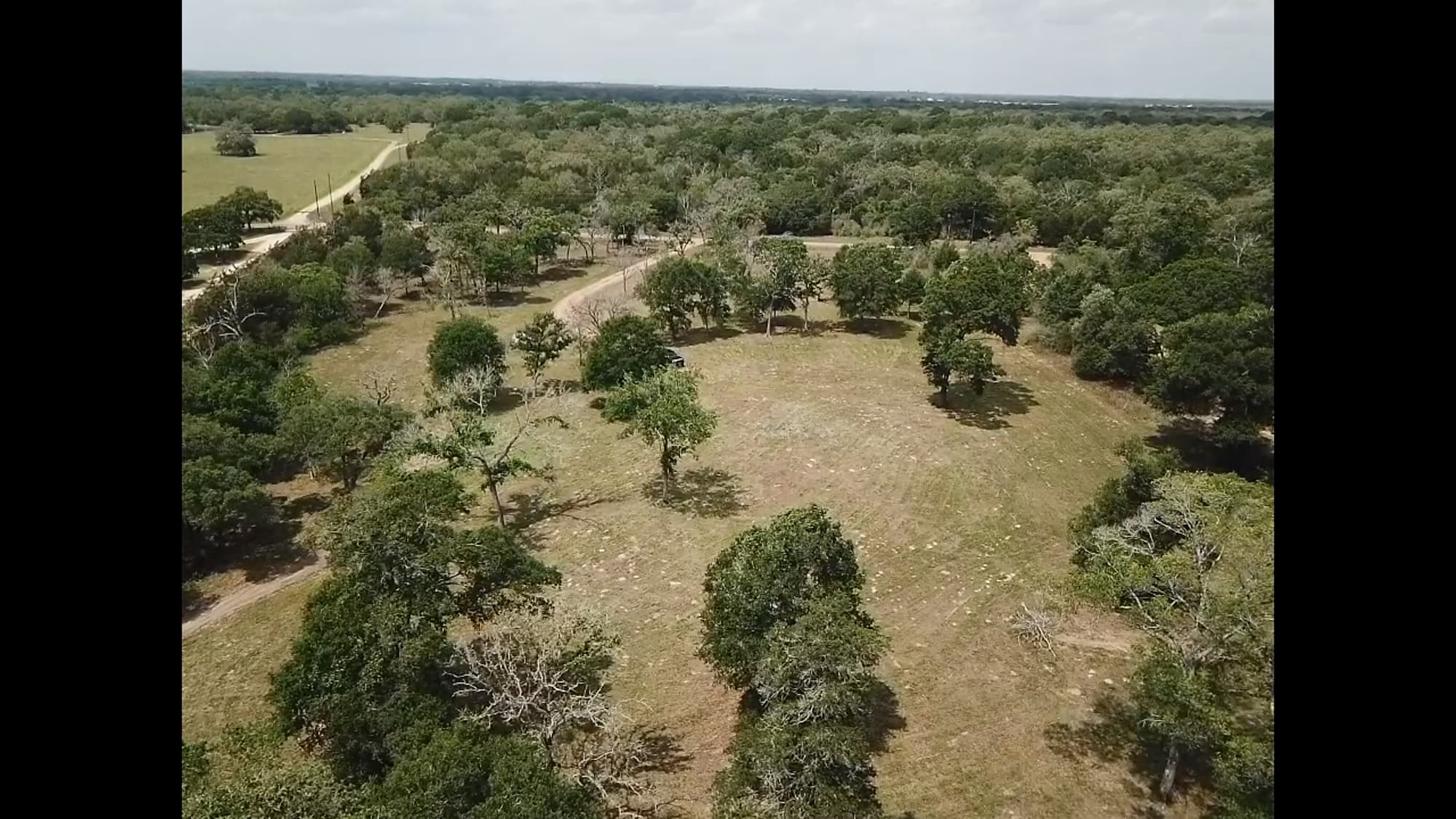 8689 CR 132, Hallettsville, TX 77964 — public listing photo 9