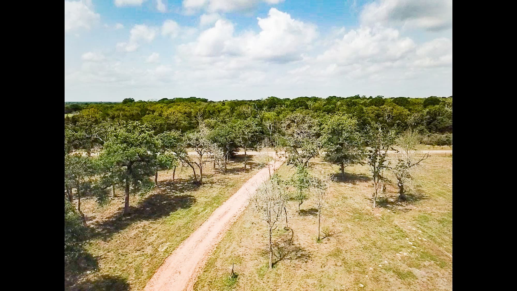8689 CR 132, Hallettsville, TX 77964 — public listing photo 12