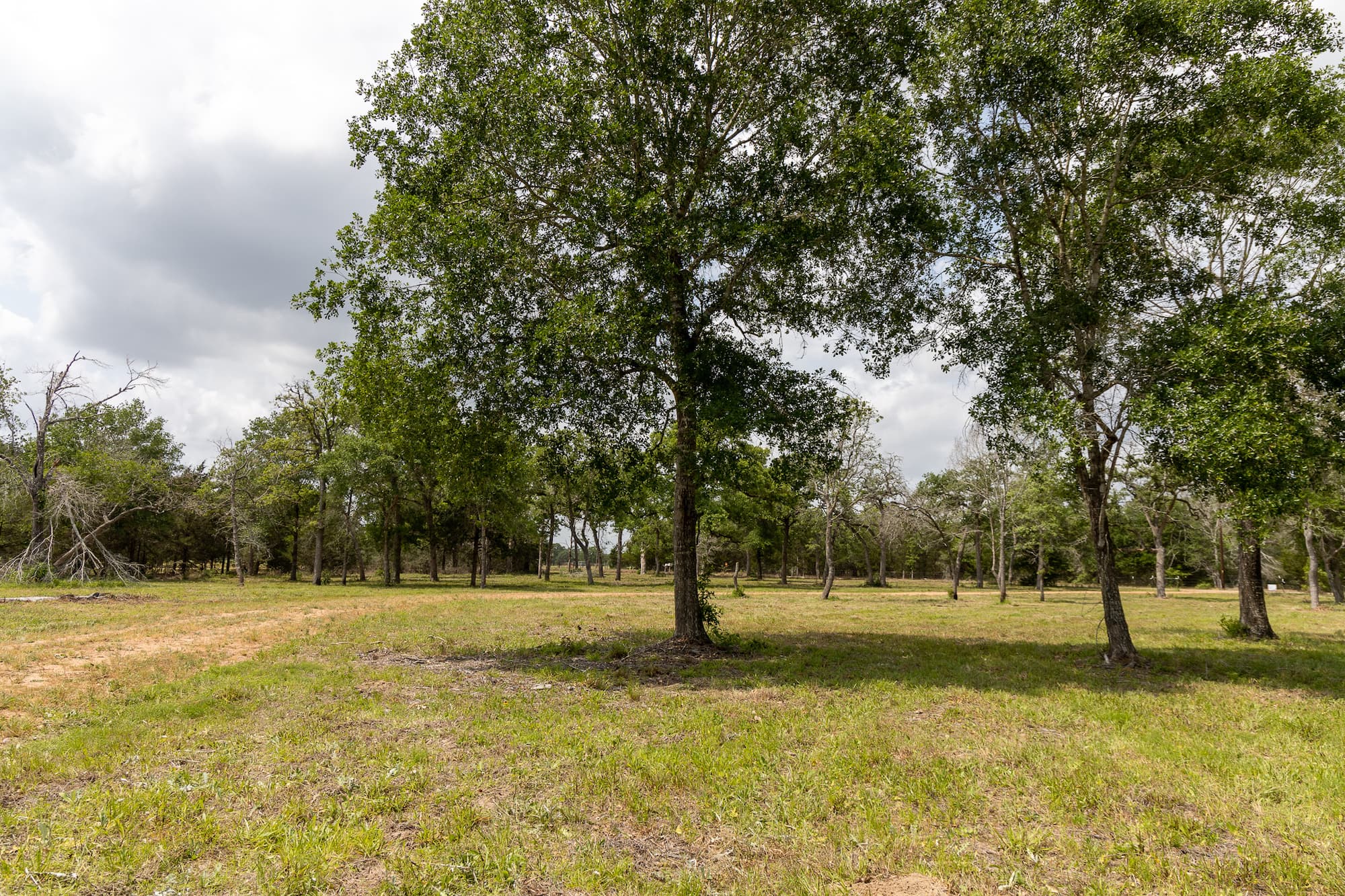 8689 CR 132, Hallettsville, TX 77964 — public listing photo 14