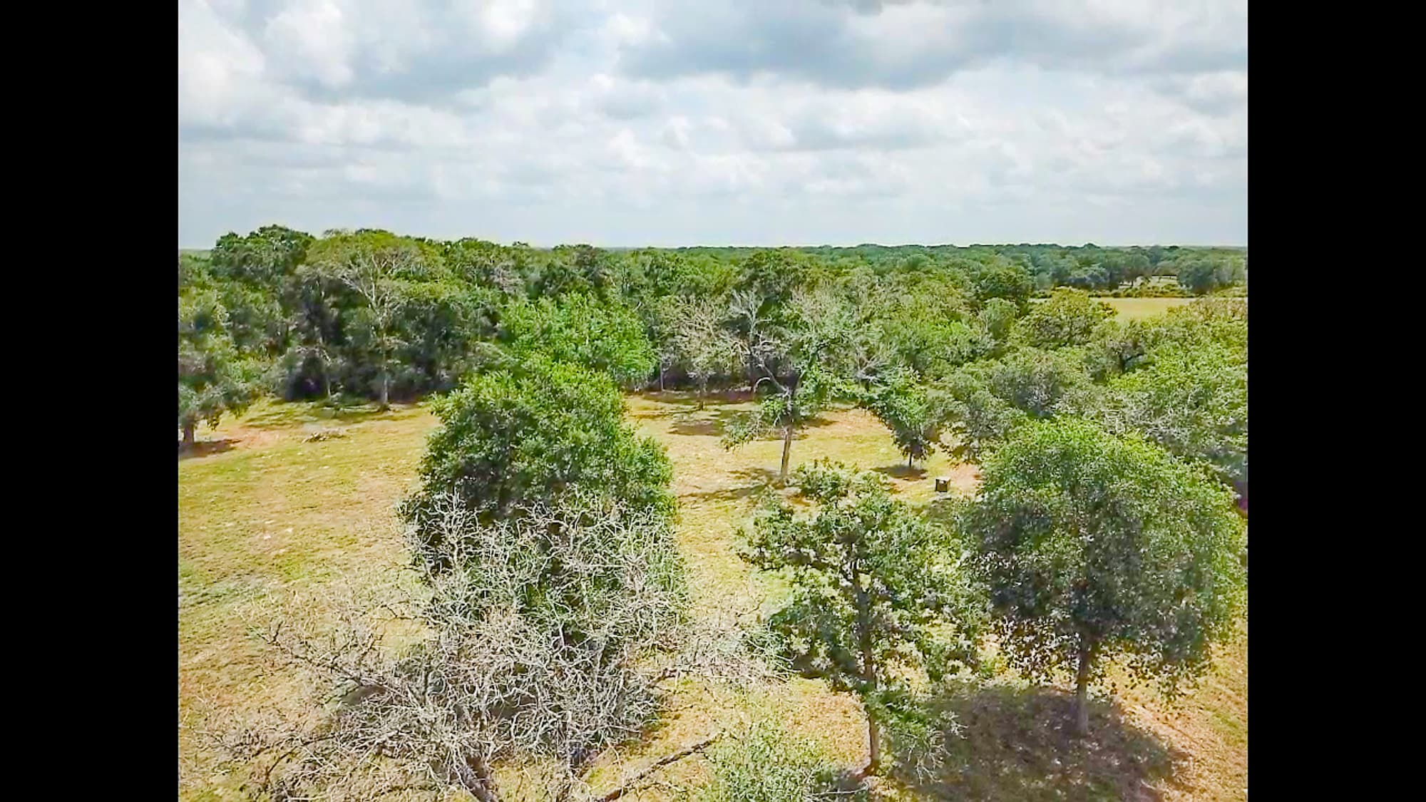8689 CR 132, Hallettsville, TX 77964 — public listing photo 15
