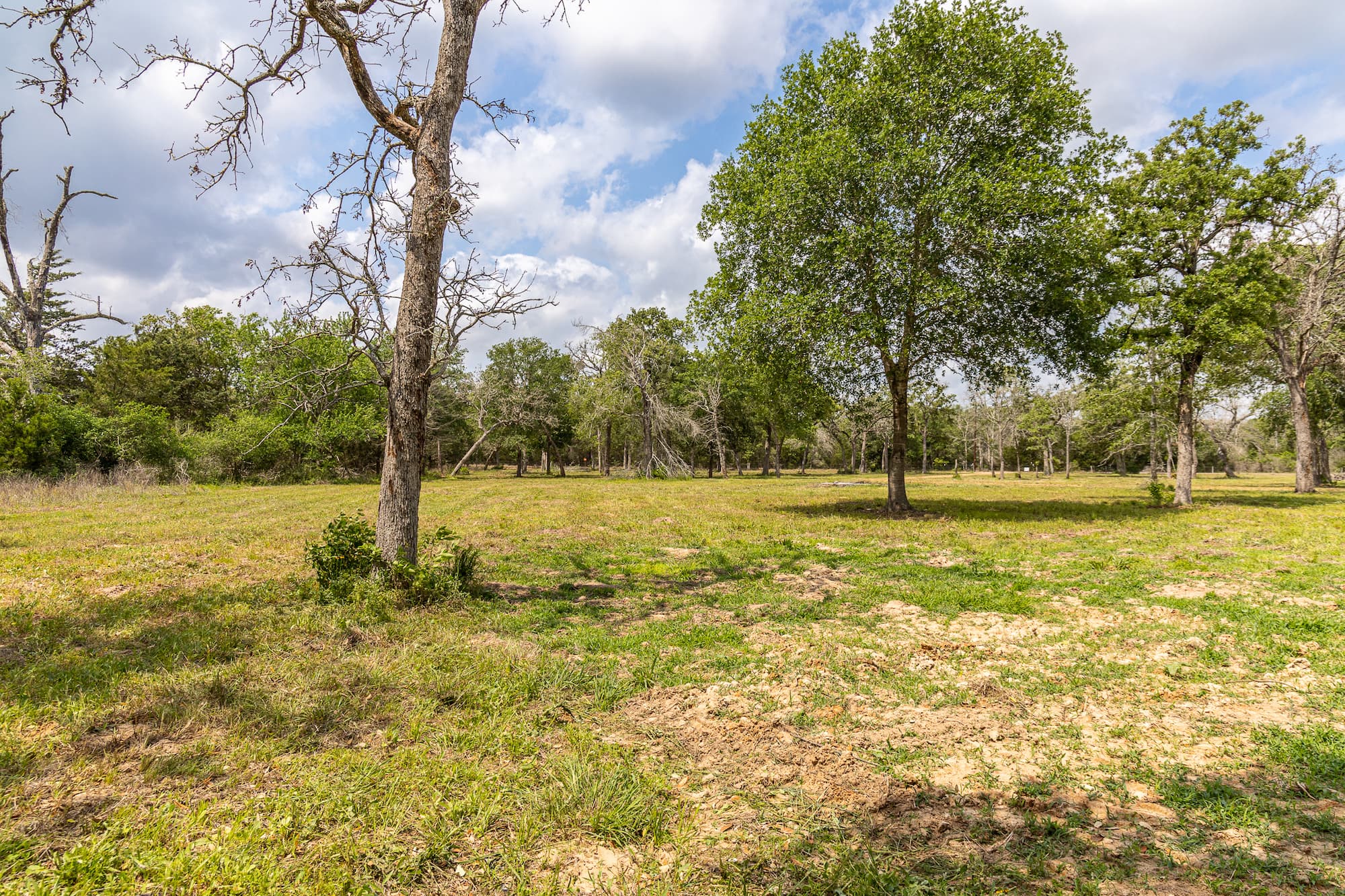 8689 CR 132, Hallettsville, TX 77964 — public listing photo 16