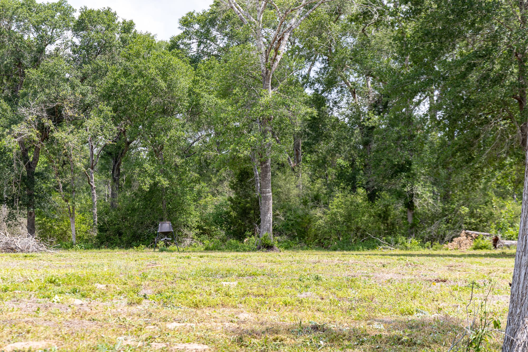 8689 CR 132, Hallettsville, TX 77964 — public listing photo 17