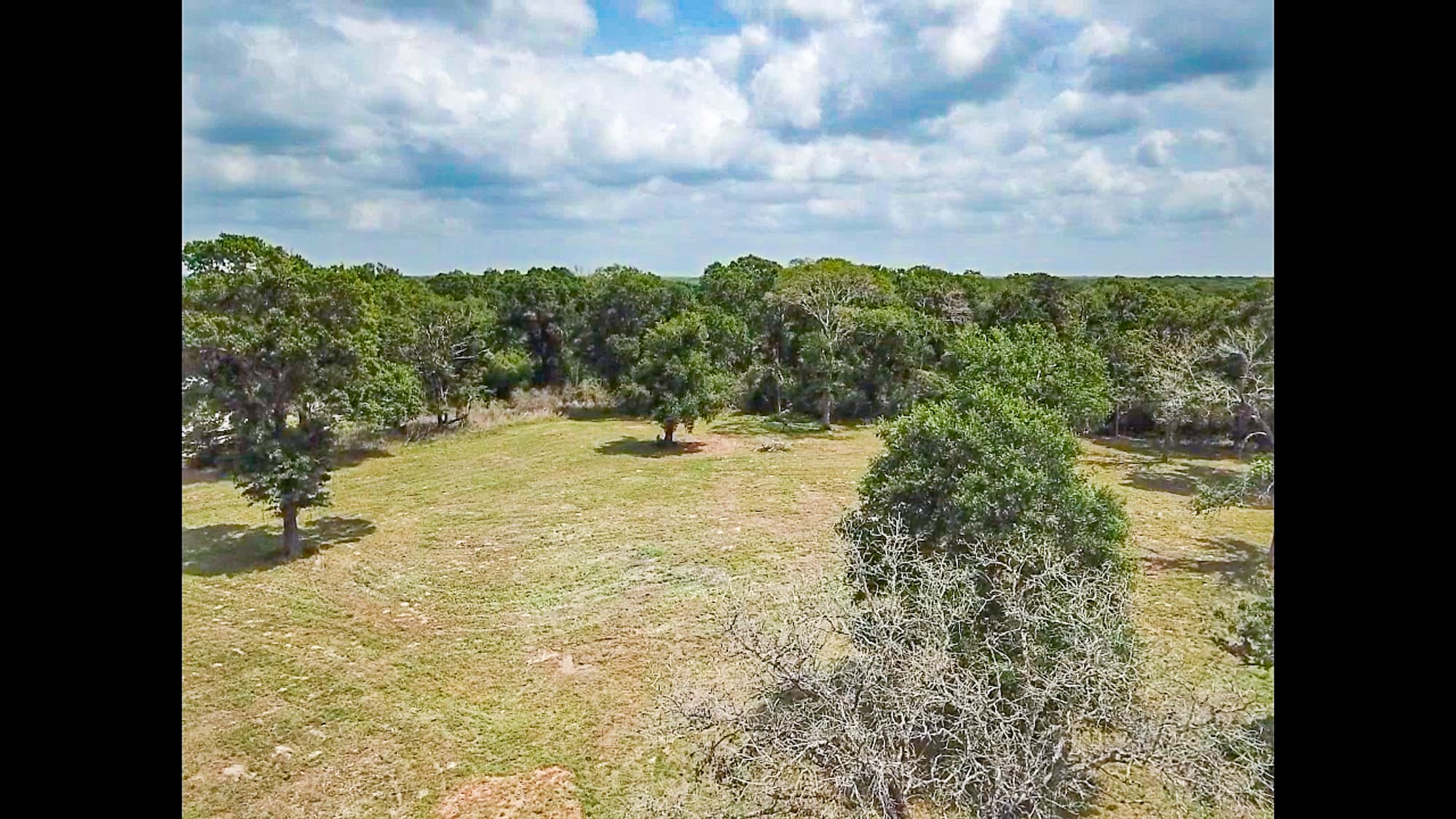 8689 CR 132, Hallettsville, TX 77964 — public listing photo 18
