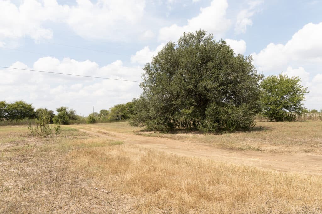 921 CR 359, Shiner, TX 77984 — public listing photo 14