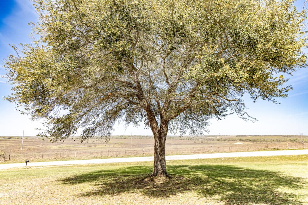 985 CR 301, Shiner, TX 77984 — public listing photo 29