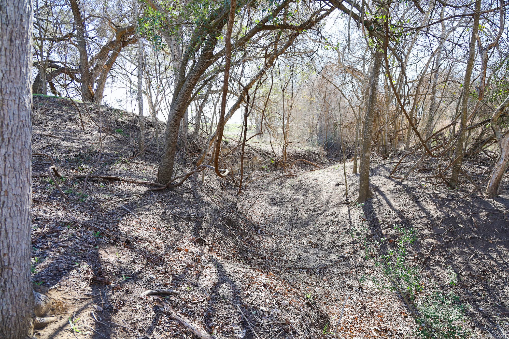 Lots 1-14 Creek Bend Estates, CR 362, Shiner — public listing photo 7