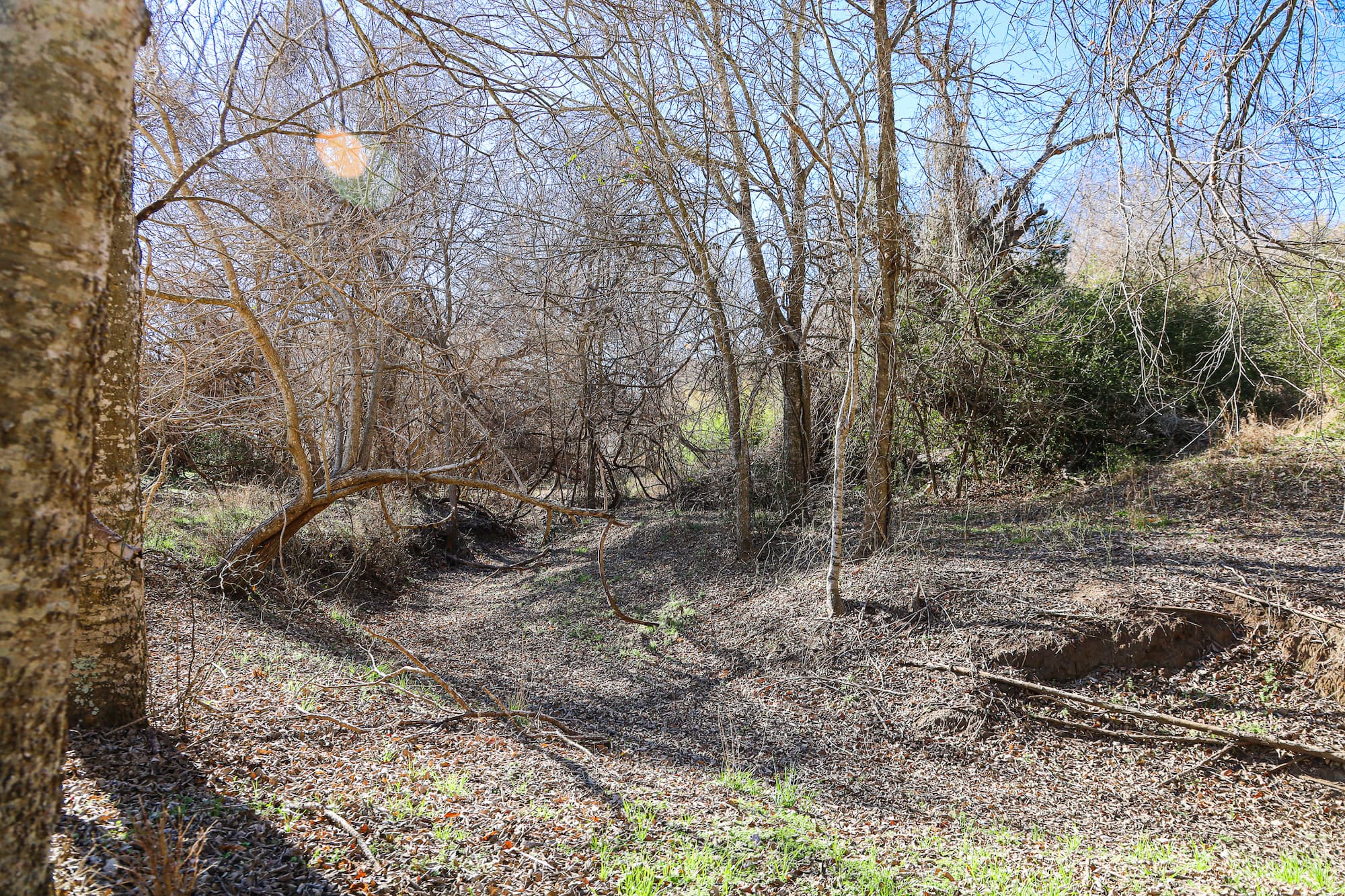 Lots 1-14 Creek Bend Estates, CR 362, Shiner — public listing photo 13