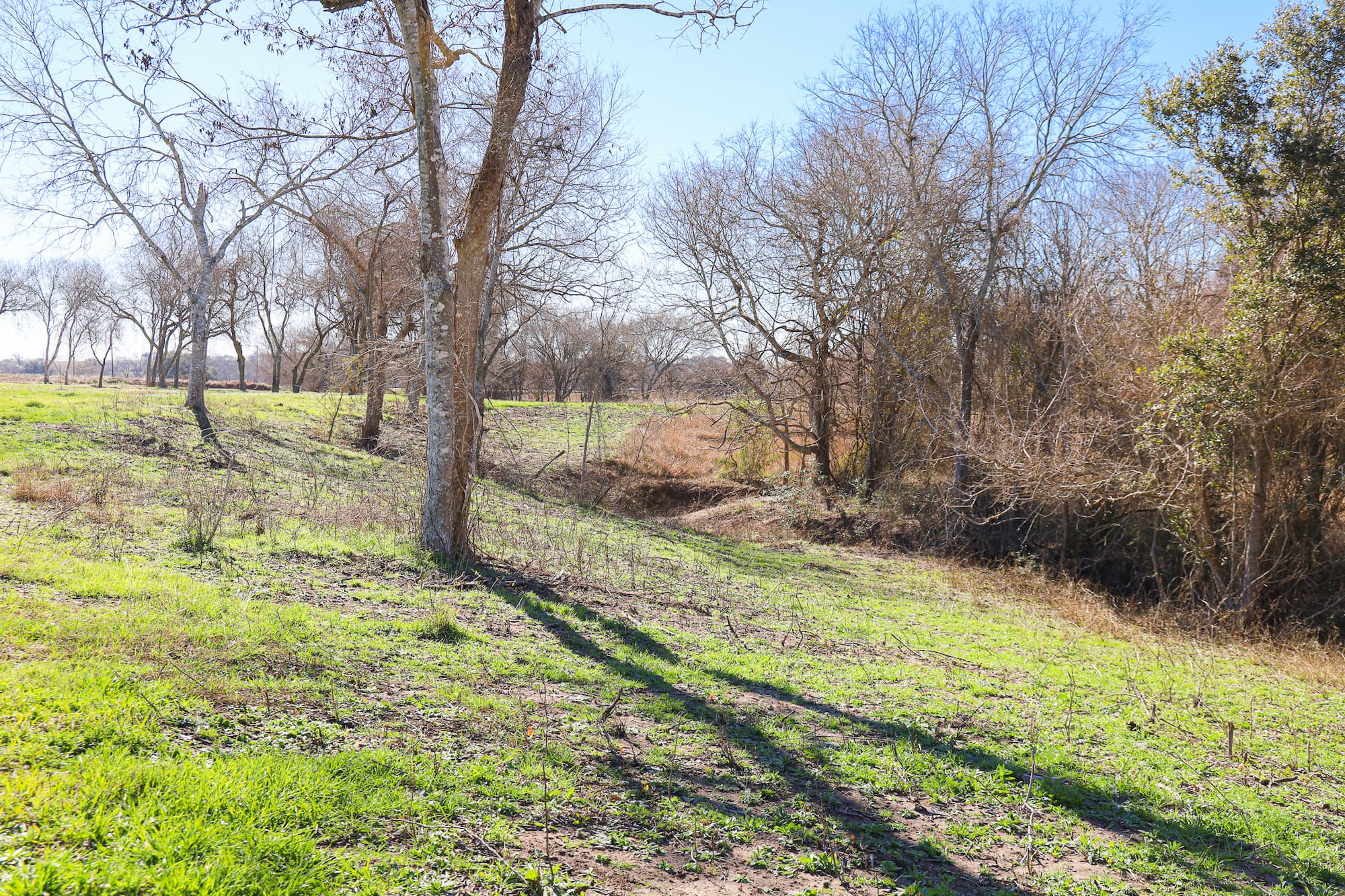 Lots 1-14 Creek Bend Estates, CR 362, Shiner — public listing photo 16