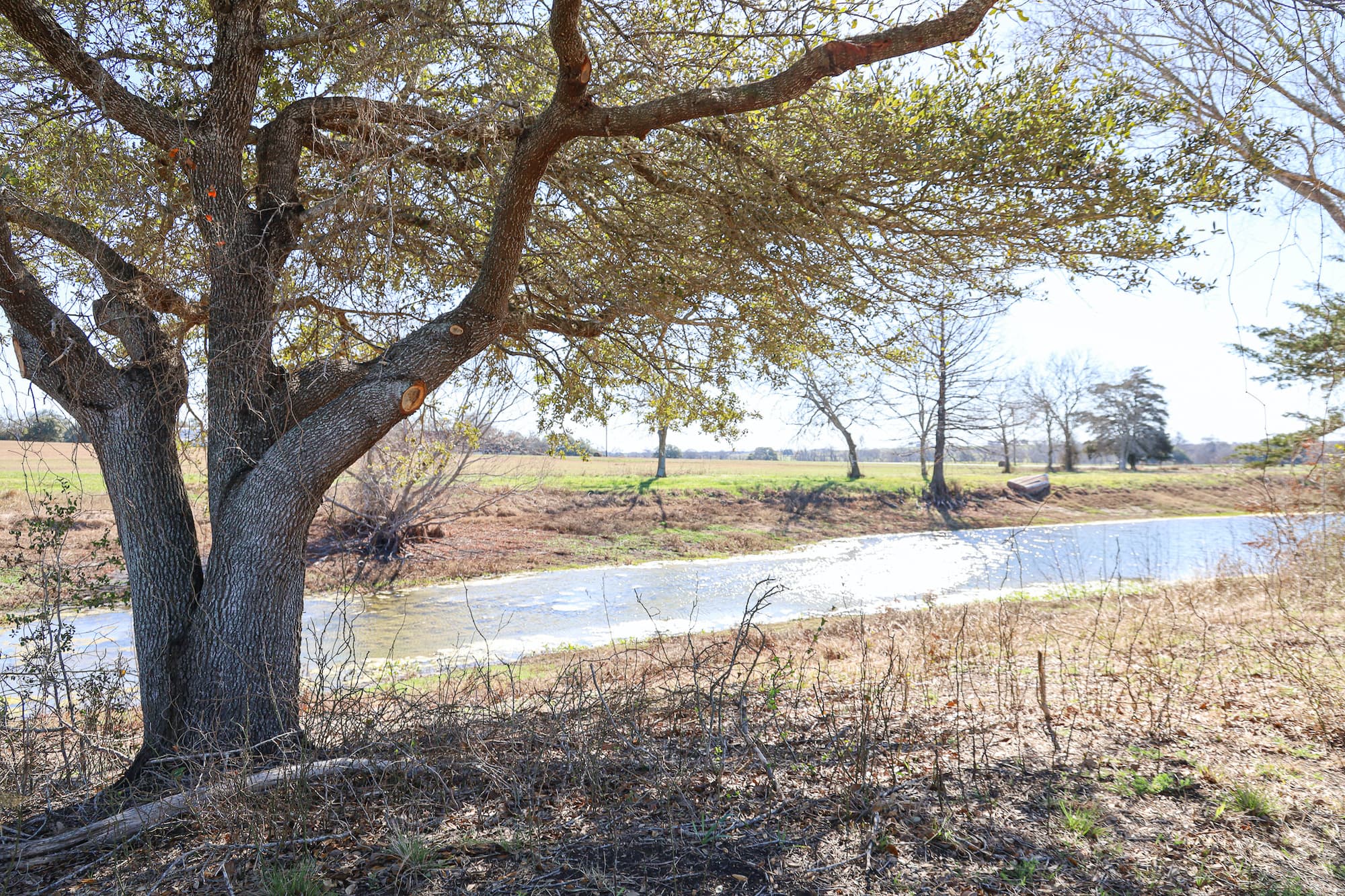 Lots 1-14 Creek Bend Estates, CR 362, Shiner — public listing photo 17