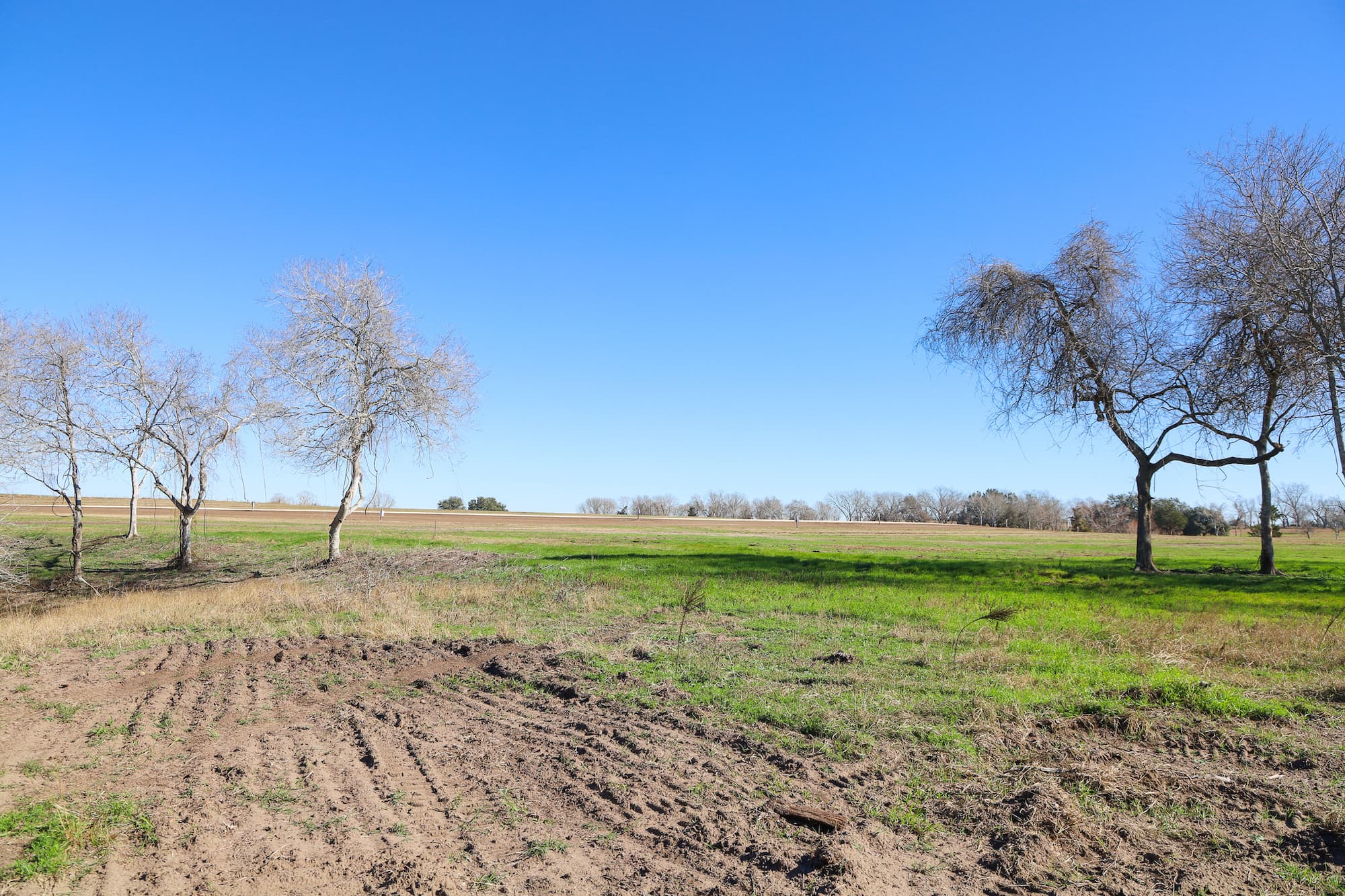 Lots 1-14 Creek Bend Estates, CR 362, Shiner — public listing photo 20
