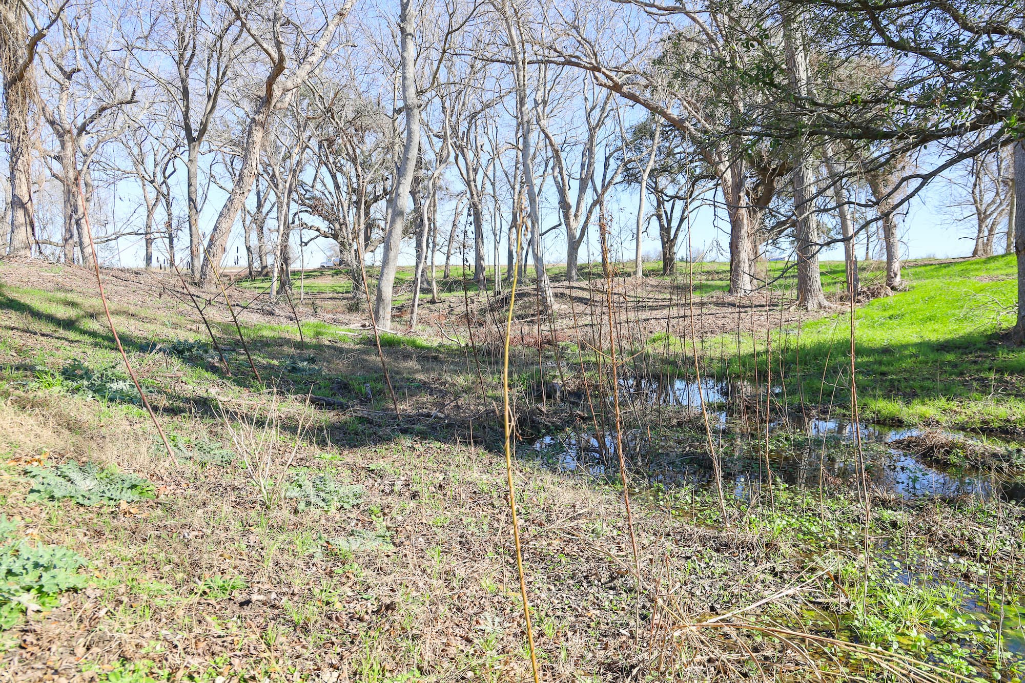 Lots 1-14 Creek Bend Estates, CR 362, Shiner — public listing photo 21