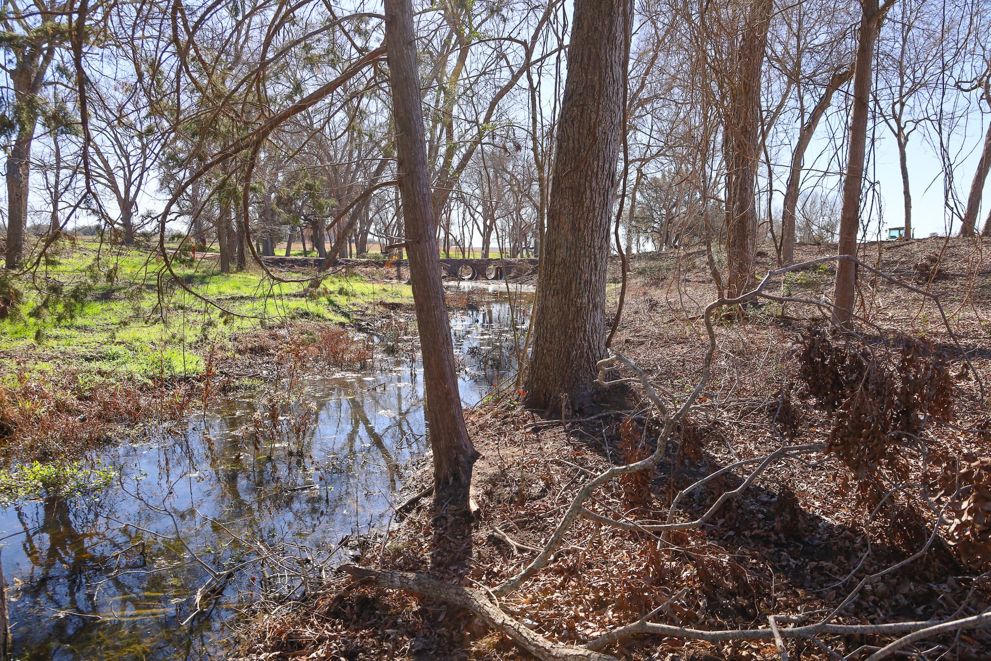 Lots 1-14 Creek Bend Estates, CR 362, Shiner — public listing photo 26