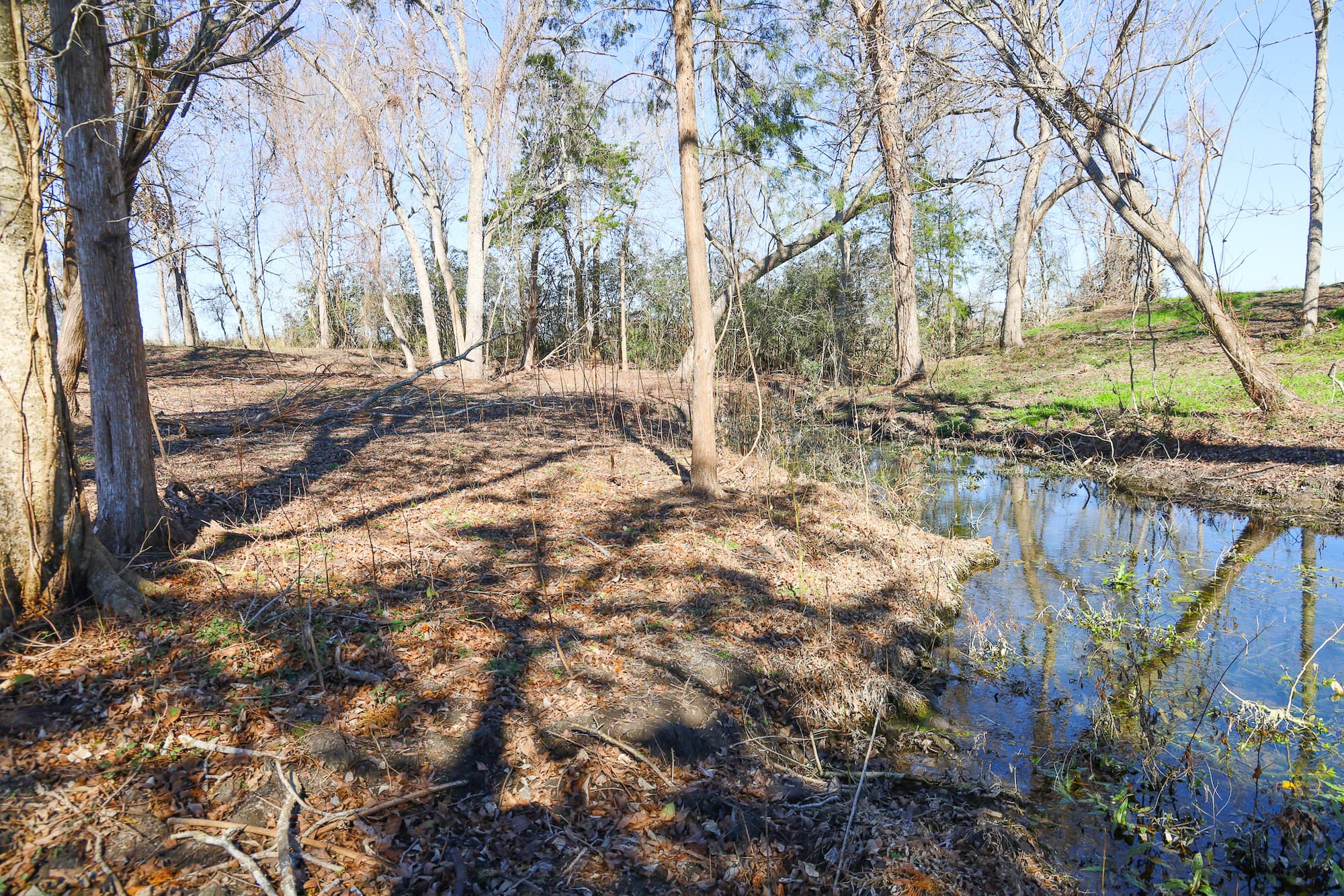 Lots 1-14 Creek Bend Estates, CR 362, Shiner — public listing photo 27