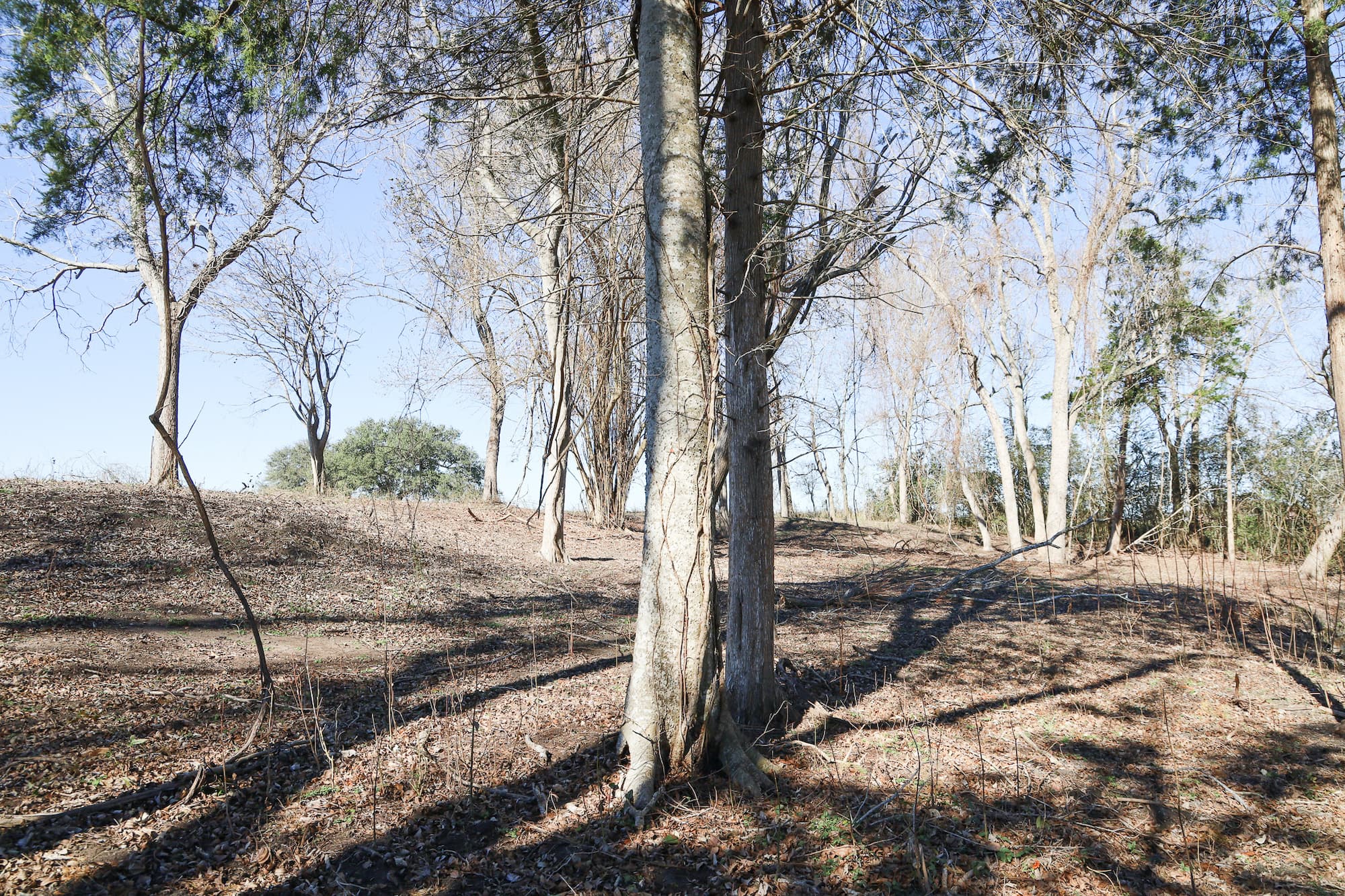 Lots 1-14 Creek Bend Estates, CR 362, Shiner — public listing photo 28