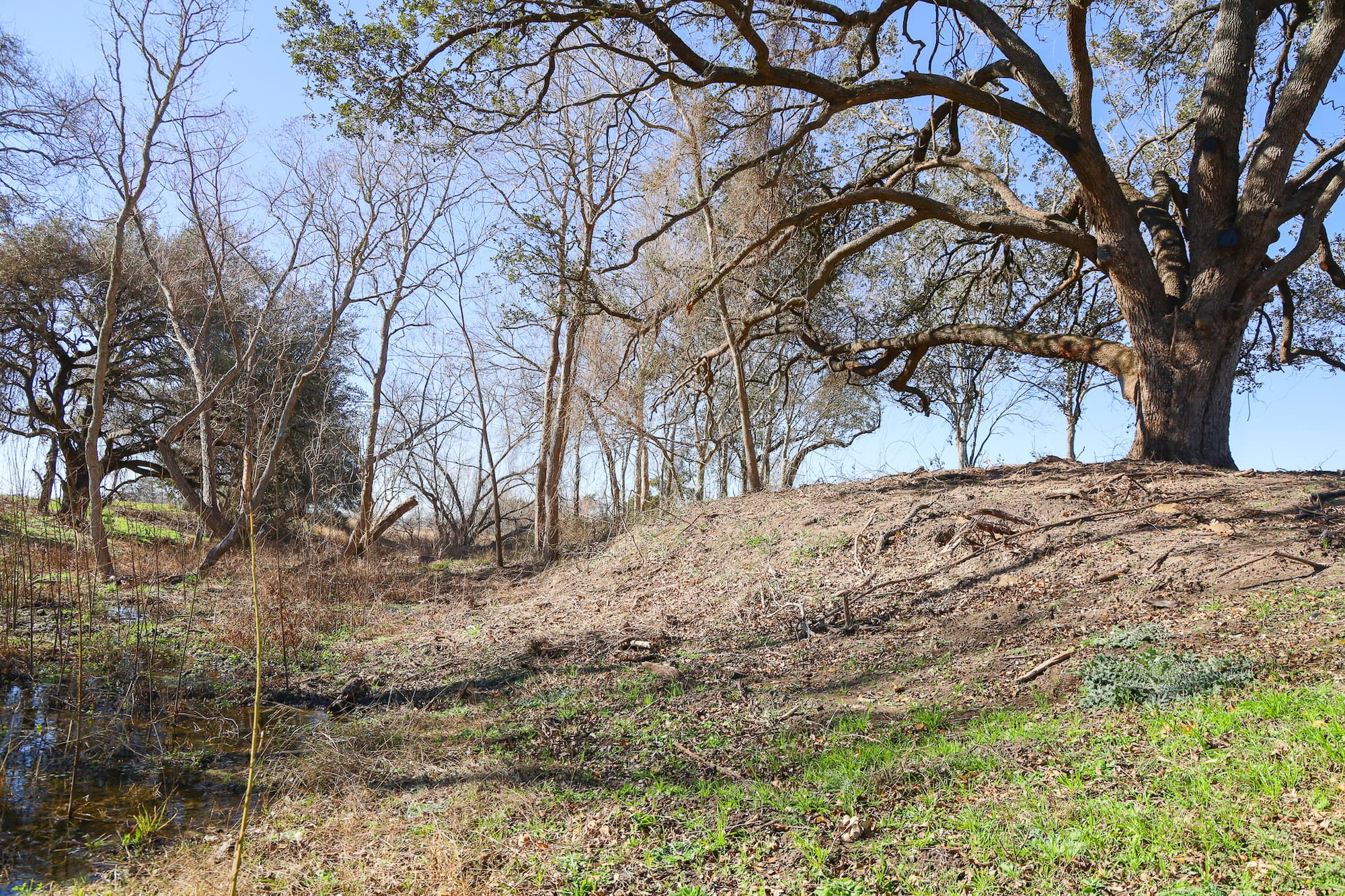 Lots 1-14 Creek Bend Estates, CR 362, Shiner — public listing photo 30