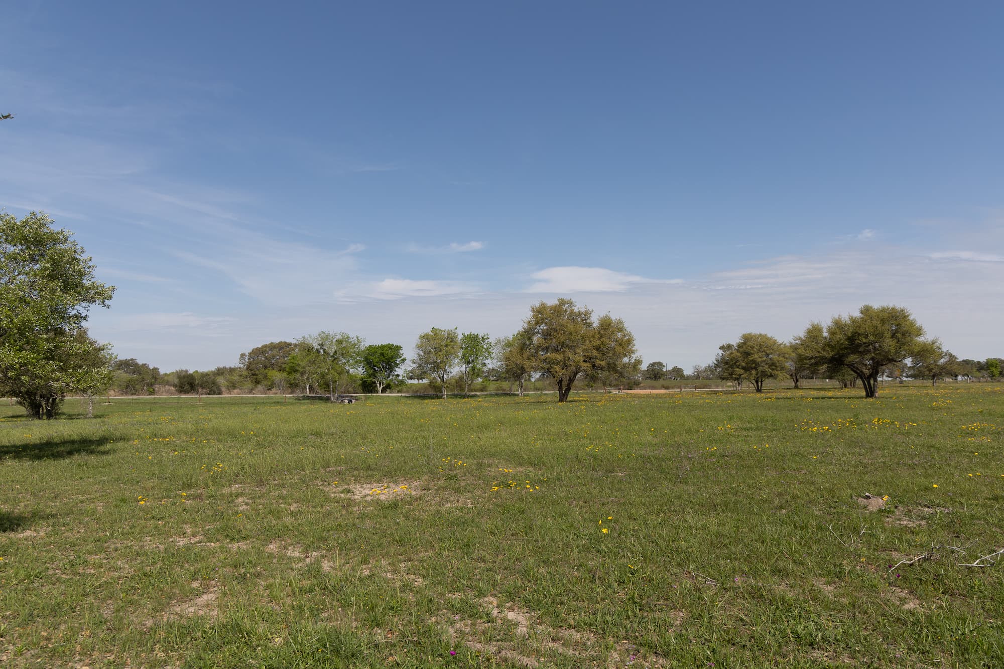 Lots 1-5 FM 531 / CR 430, Hallettsville, TX 77964 — public listing photo 9