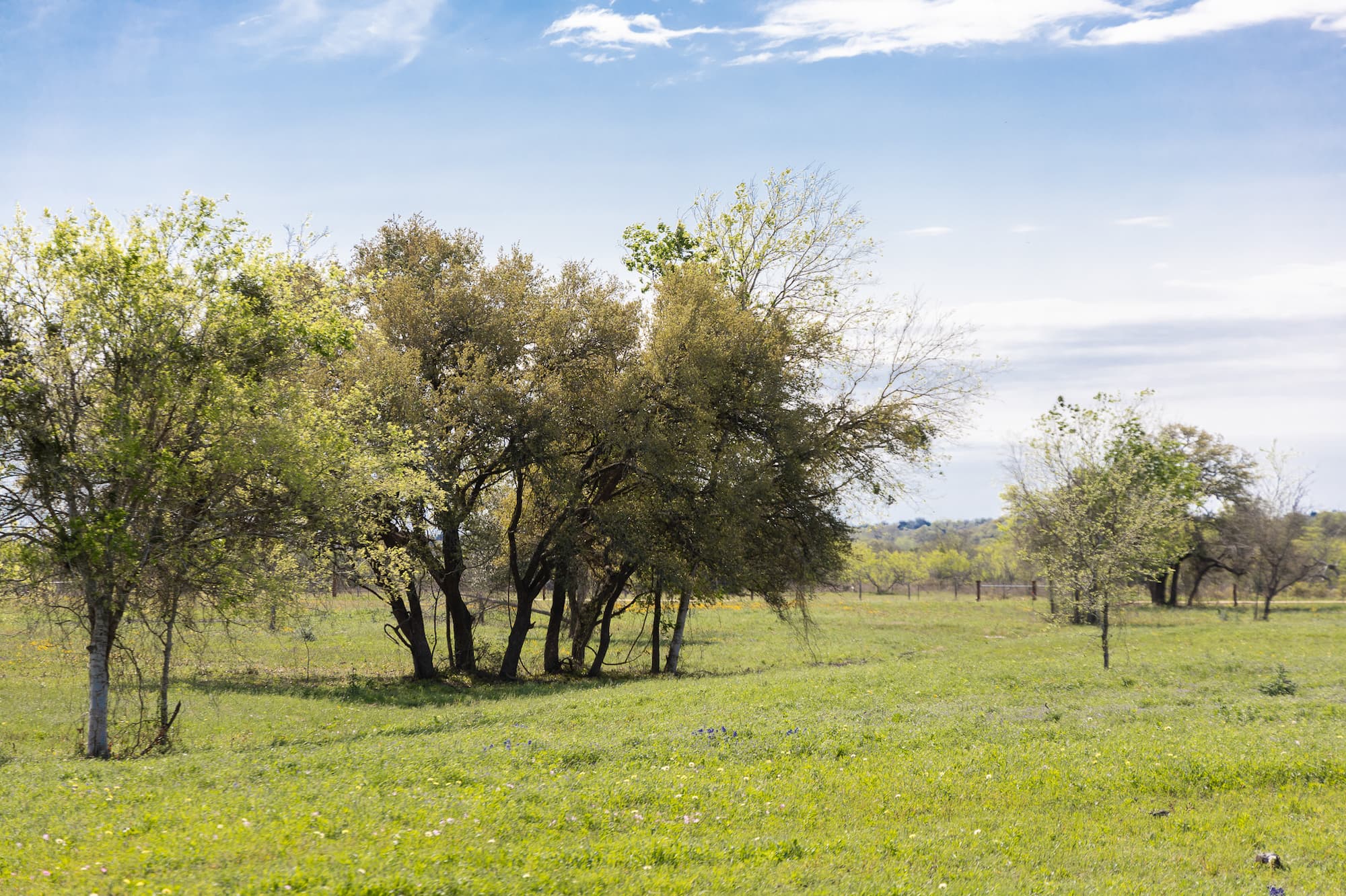 Lots 1-5 FM 531 / CR 430, Hallettsville, TX 77964 — public listing photo 11