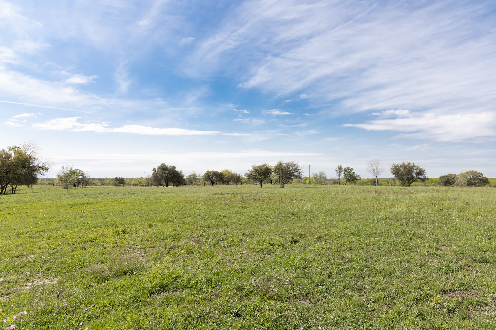 Lots 1-5 FM 531 / CR 430, Hallettsville, TX 77964 — public listing photo 13
