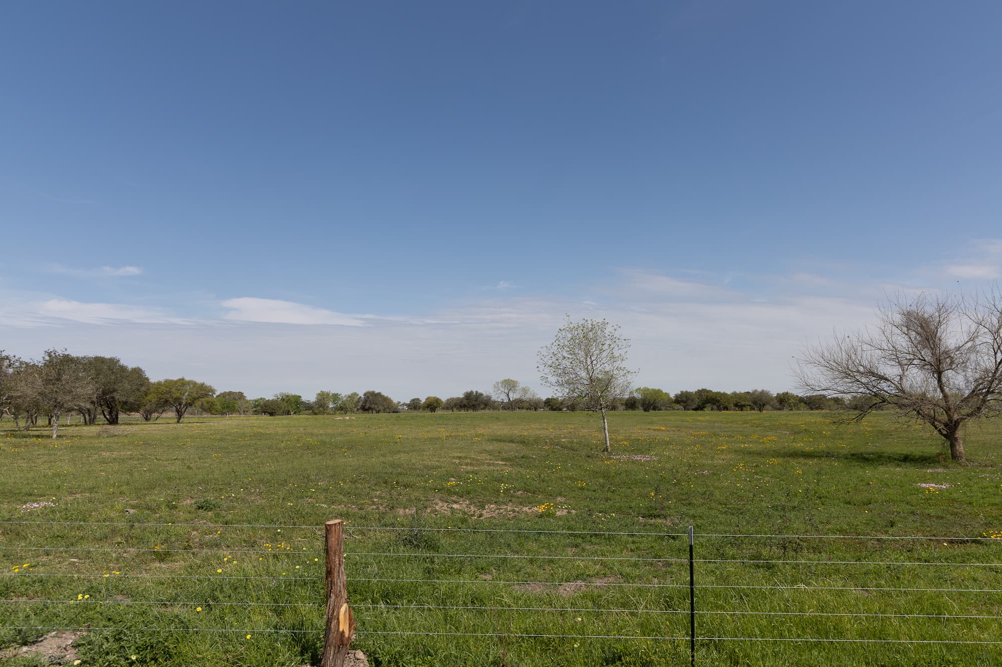 Lots 1-5 FM 531 / CR 430, Hallettsville, TX 77964 — public listing photo 19